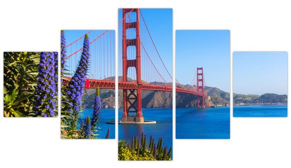 Obraz - Most Golden Gate, San Francisco (125x70 cm)