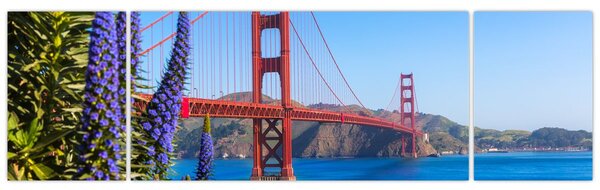 Obraz - Most Golden Gate, San Francisco (170x50 cm)