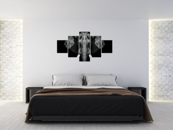 Obraz - Słoń na czarnym tle (125x70 cm)