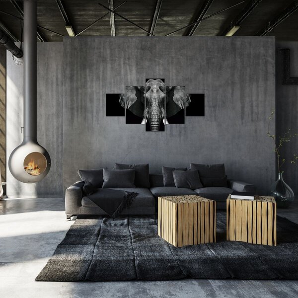 Obraz - Słoń na czarnym tle (125x70 cm)