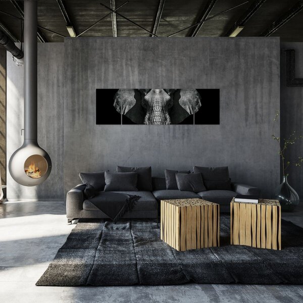 Obraz - Słoń na czarnym tle (170x50 cm)