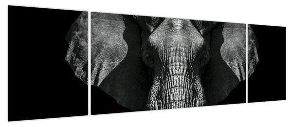 Obraz - Słoń na czarnym tle (170x50 cm)