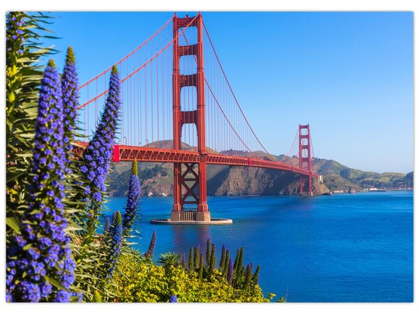 Obraz - Most Golden Gate, San Francisco (70x50 cm)