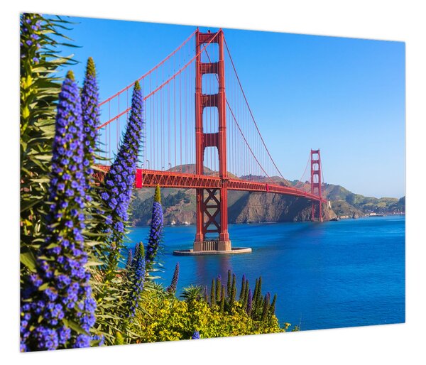 Obraz - Most Golden Gate, San Francisco (70x50 cm)