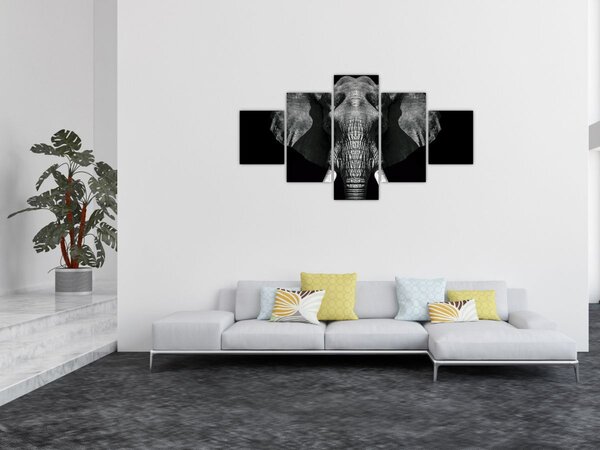 Obraz - Słoń na czarnym tle (125x70 cm)