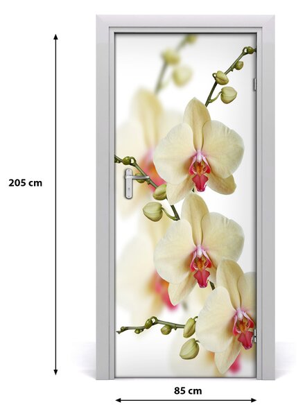 Naklejka samoprzylepna na drzwi Orchidea