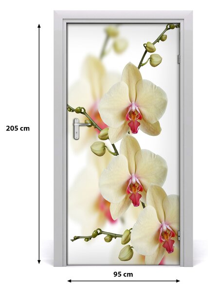 Naklejka samoprzylepna na drzwi Orchidea