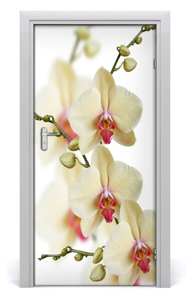 Naklejka samoprzylepna na drzwi Orchidea