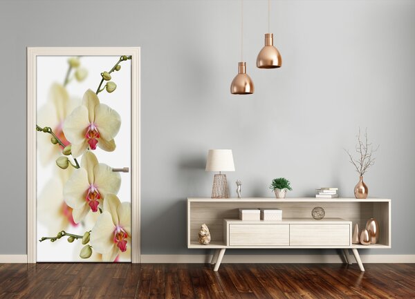 Naklejka samoprzylepna na drzwi Orchidea