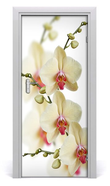 Naklejka samoprzylepna na drzwi Orchidea