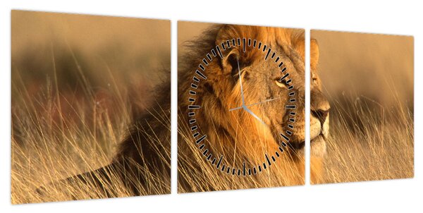 Obraz - Park Narodowy Etosha (z zegarem) (90x30 cm)