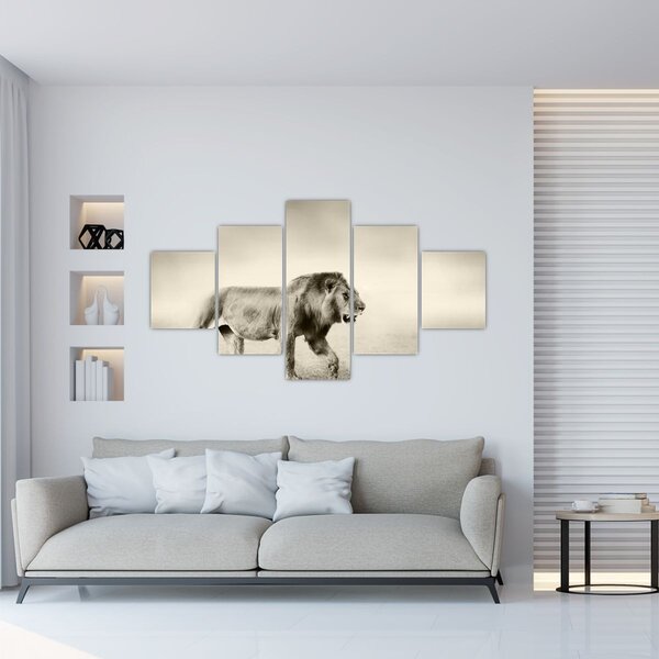 Obraz - Głodny lew (125x70 cm)