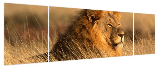 Obraz - Park Narodowy Etosha (170x50 cm)