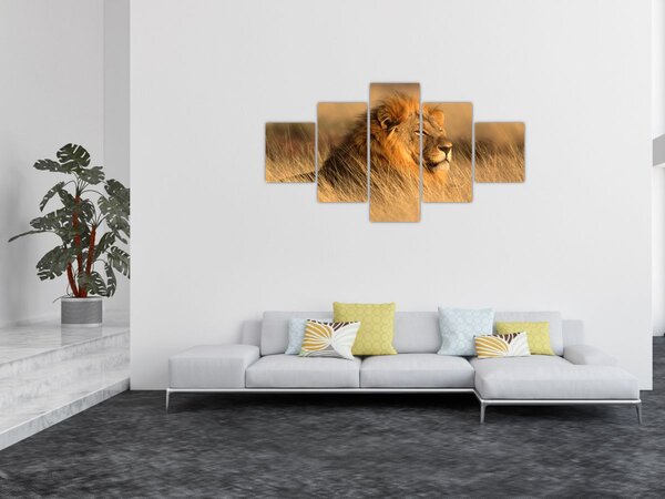 Obraz - Park Narodowy Etosha (125x70 cm)