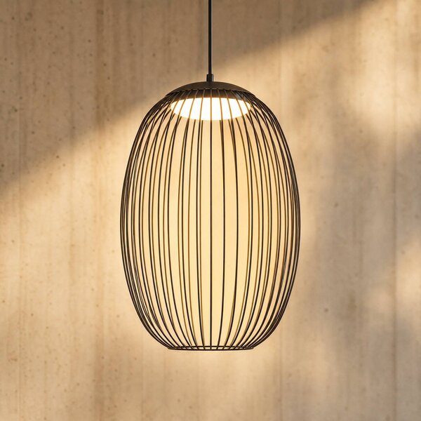 Lampa wisząca zewnętrzna LED Lucande Richi, czarna, Ø35 cm, ściemniana Richi Lucande, możliwość ściemniania, czarny, metal, nowoczesny