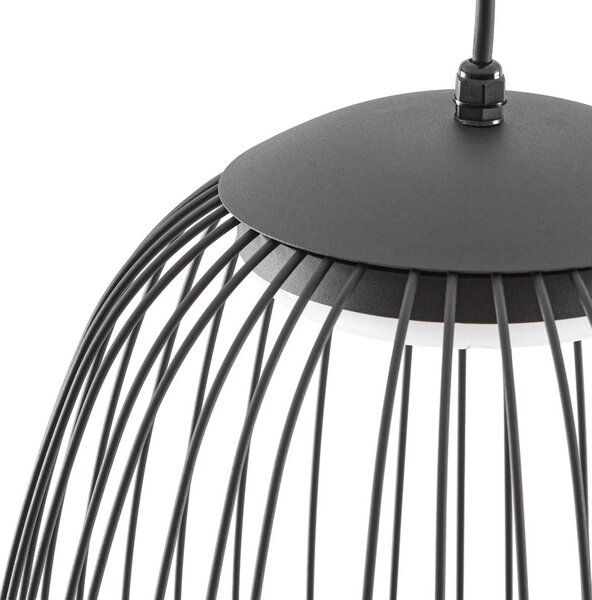 Lampa wisząca zewnętrzna LED Lucande Richi, czarna, Ø35 cm, ściemniana Richi Lucande, możliwość ściemniania, czarny, metal, nowoczesny