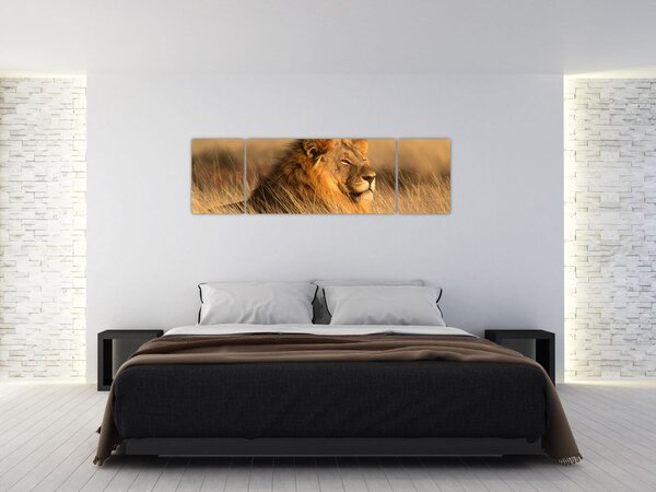 Obraz - Park Narodowy Etosha (170x50 cm)