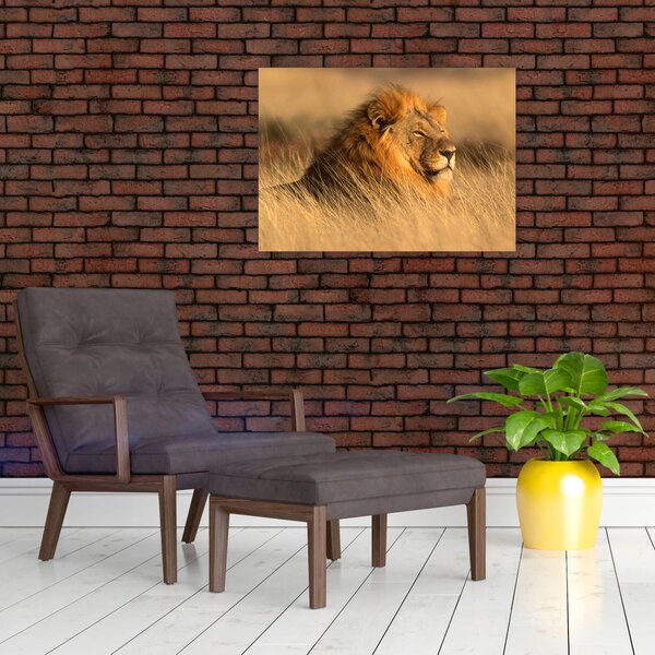 Obraz - Park Narodowy Etosha (70x50 cm)
