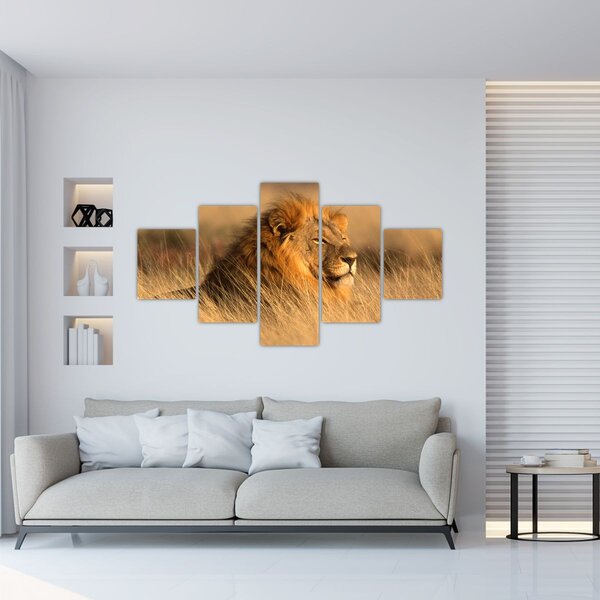 Obraz - Park Narodowy Etosha (125x70 cm)