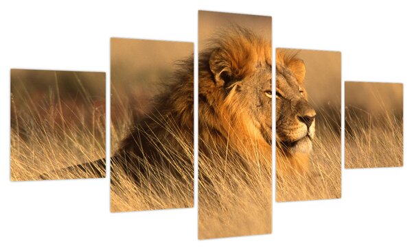 Obraz - Park Narodowy Etosha (125x70 cm)