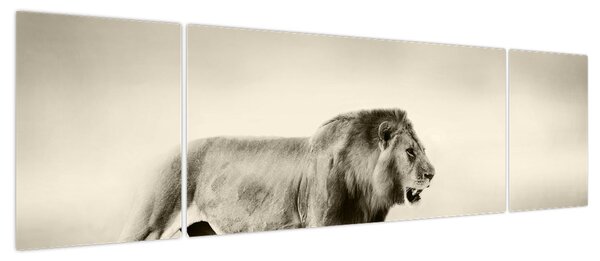 Obraz - Głodny lew (170x50 cm)