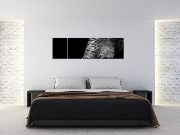 Obraz - Kły słonia (170x50 cm)