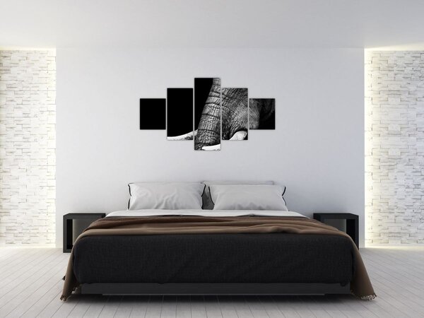 Obraz - Kły słonia (125x70 cm)