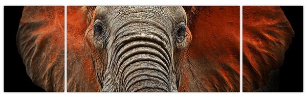Obraz - Słonie z Tsavo (170x50 cm)