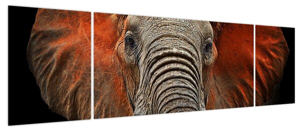 Obraz - Słonie z Tsavo (170x50 cm)