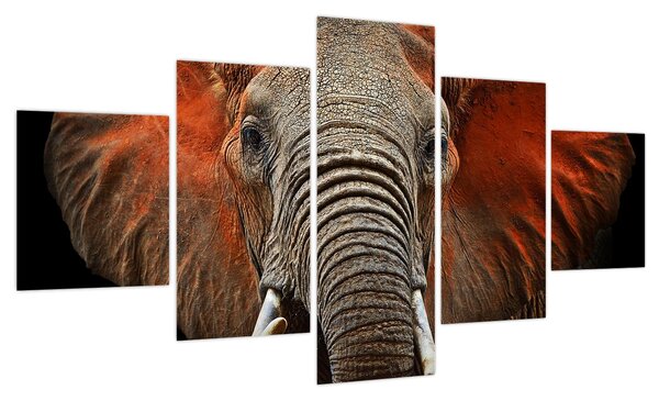 Obraz - Słonie z Tsavo (125x70 cm)