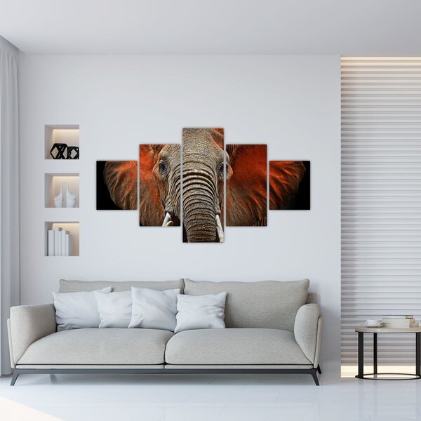 Obraz - Słonie z Tsavo (125x70 cm)