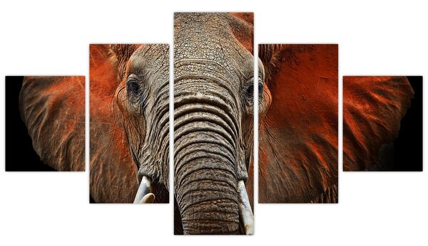 Obraz - Słonie z Tsavo (125x70 cm)