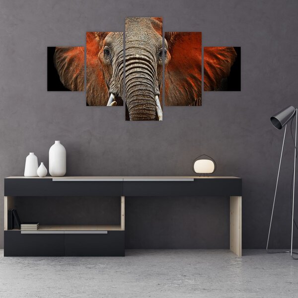 Obraz - Słonie z Tsavo (125x70 cm)
