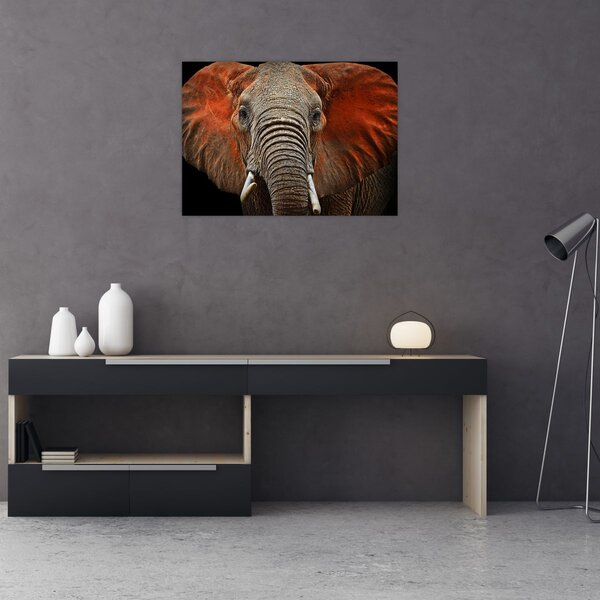 Obraz - Słonie z Tsavo (70x50 cm)