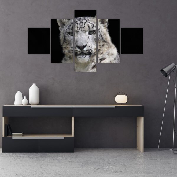 Obraz - Snow Leopard (125x70 cm)