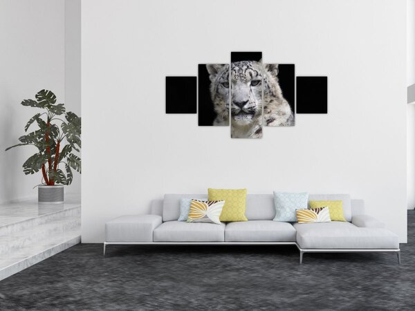 Obraz - Snow Leopard (125x70 cm)