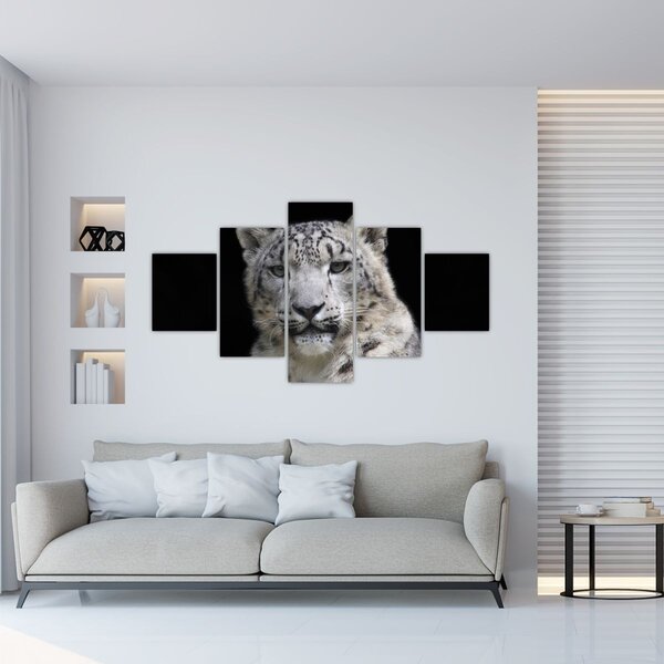 Obraz - Snow Leopard (125x70 cm)