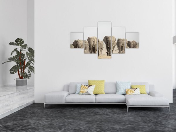 Obraz - Stado słoni (125x70 cm)