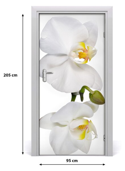 Naklejka samoprzylepna na drzwi Biała orchidea