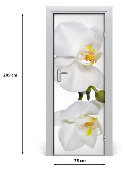 Naklejka samoprzylepna na drzwi Biała orchidea