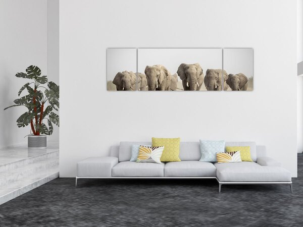 Obraz - Stado słoni (170x50 cm)