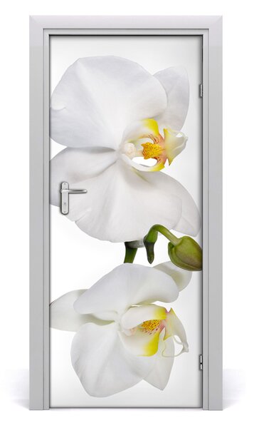 Naklejka samoprzylepna na drzwi Biała orchidea