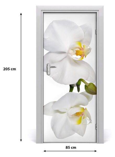 Naklejka samoprzylepna na drzwi Biała orchidea