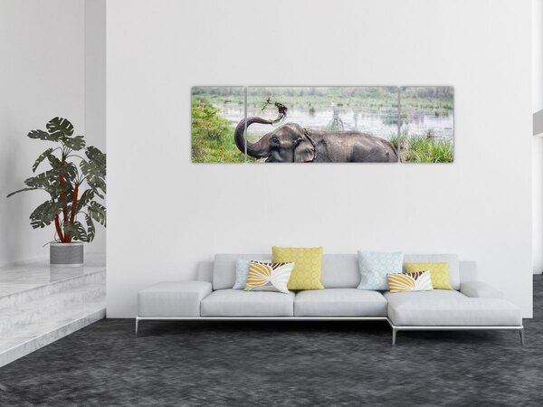 Obraz - Kąpiący się słoń (170x50 cm)