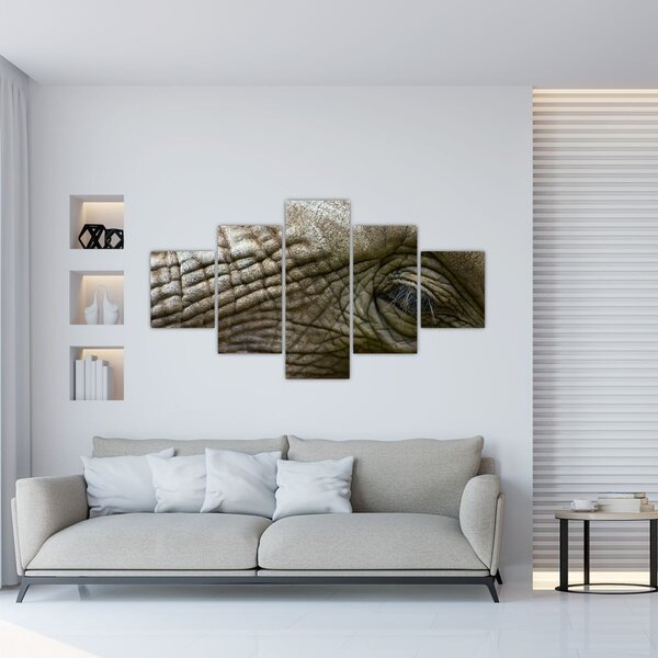 Obraz - Zbliżenie na stare oko słonia (125x70 cm)