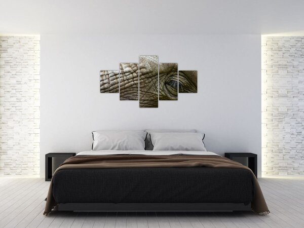 Obraz - Zbliżenie na stare oko słonia (125x70 cm)