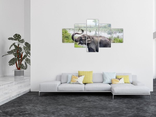 Obraz - Kąpiący się słoń (125x70 cm)