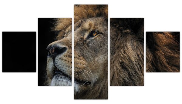 Obraz - Majestatyczny lew (125x70 cm)