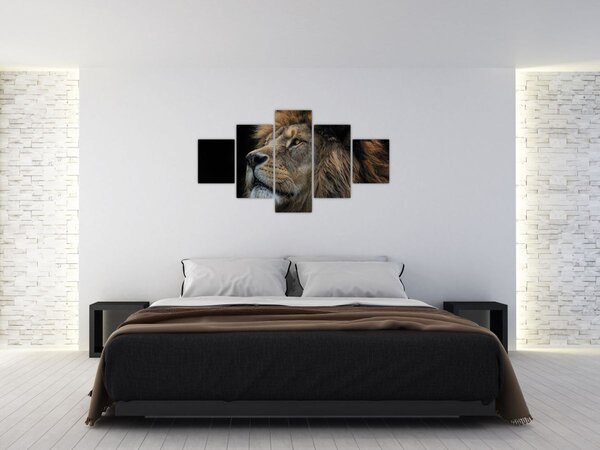 Obraz - Majestatyczny lew (125x70 cm)