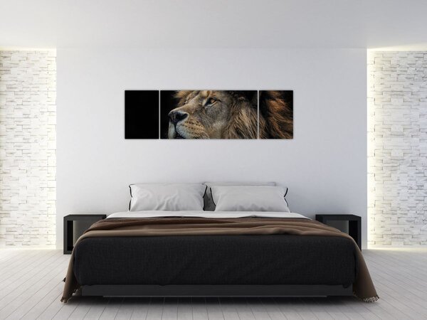 Obraz - Majestatyczny lew (170x50 cm)